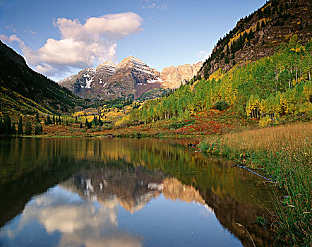 美国,科罗拉多,白色,河,国家森林,秋天,反射,栗色,大幅,尺寸