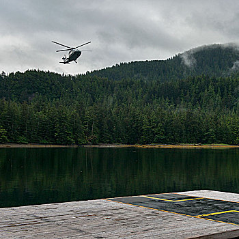 直升飞机,进入,降落,地区性,地区,岛屿,不列颠哥伦比亚省,加拿大