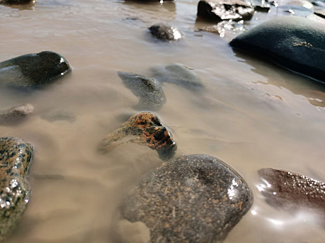 黄河水石头素材