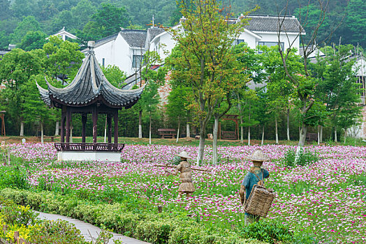 南京不老村风景