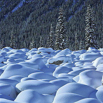积雪,风景,碧玉国家公园,艾伯塔省,加拿大