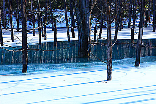 蓝色,水塘,冬天