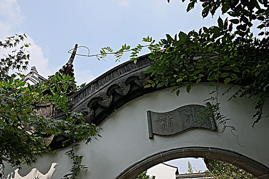 建築園林園林北京頤和園花園,紋理,玫瑰,綠色背景,灌木,裝飾,蔓藤