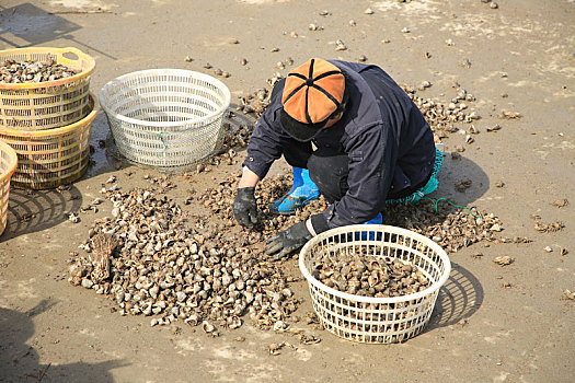 山东省日照市,海上春播正当时,海洋牧场助力村民增收致富