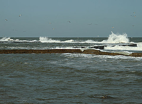 海滨风景