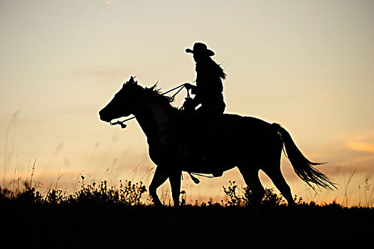 女牛仔,骑,上方,草原,日落时的半身侧面影,萨斯喀彻温,加拿大