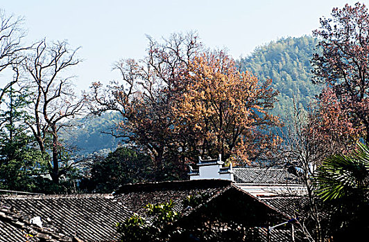 婺源石城