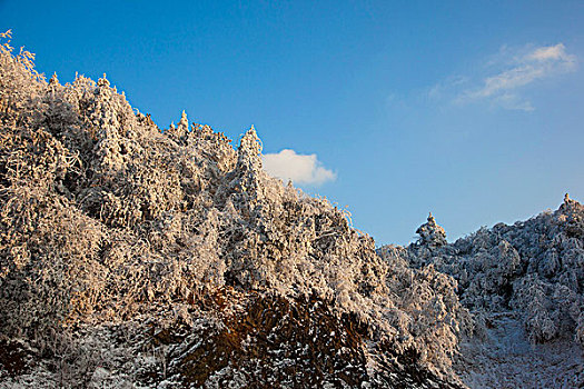 阳明山风光