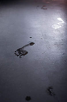 湿,脚印,地板
