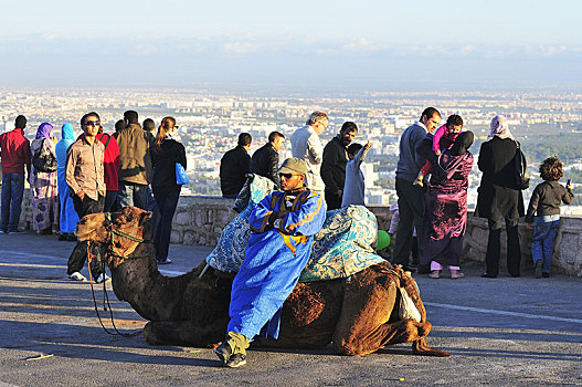 领驼人,旅游,古老,要塞,阿加迪尔,摩洛哥,非洲