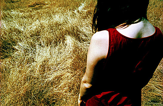 背影,年轻,女人,红色,连衣裙,站立,地点,草