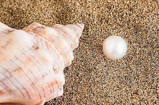 沙中的珍珠