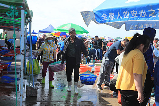 山东省日照市,渔船回港带来梭子蟹,刀鱼等各种海鲜,价格实惠引游客疯抢