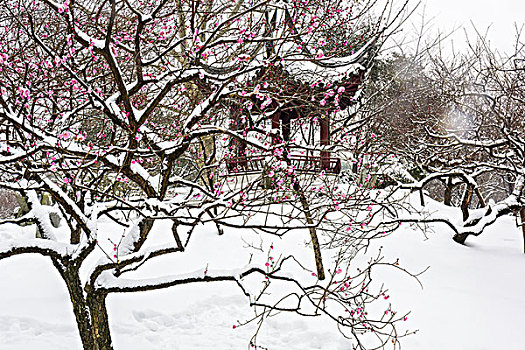 园林雪景