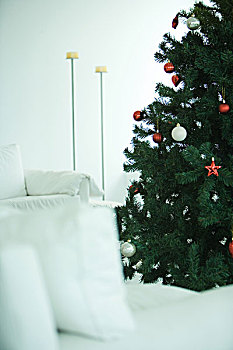 圣诞树,客厅