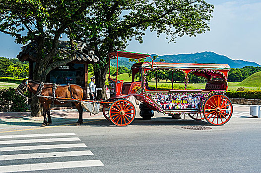 彩色,马车,世界遗产,庆州,韩国