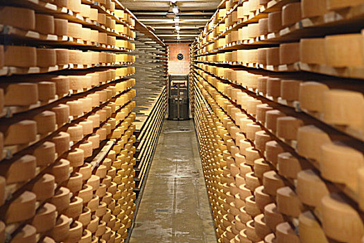 瑞士干酪,奶酪,地窖,弗里堡,瑞士