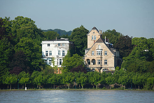 别墅,莱茵河,岸边,北莱茵威斯特伐利亚,德国,欧洲