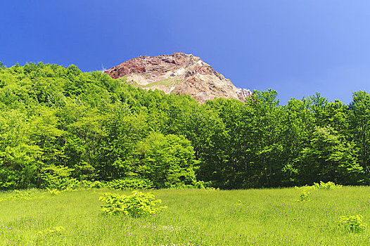 山,绿色,地点