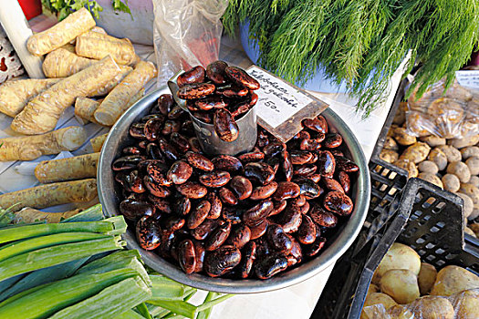 红花菜豆,市场,格拉茨,施蒂里亚,奥地利,欧洲