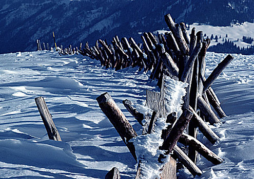 挪威,木篱,雪中