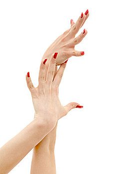 图片,两只,手,红色,指甲,上方,白人