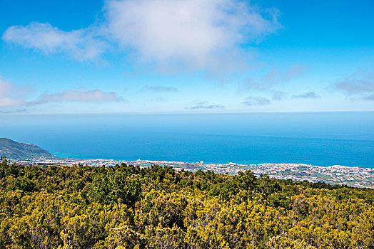 风景,波多黎各,泰德国家公园,公园,特内里费岛,加纳利群岛,西班牙,欧洲