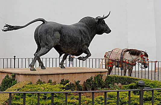 广场,公牛,隆达,斗牛场,安达卢西亚,西班牙,欧洲