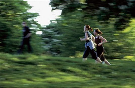 公园,跑,女青年,慢跑,坚持,训练,健身,草地,迅速