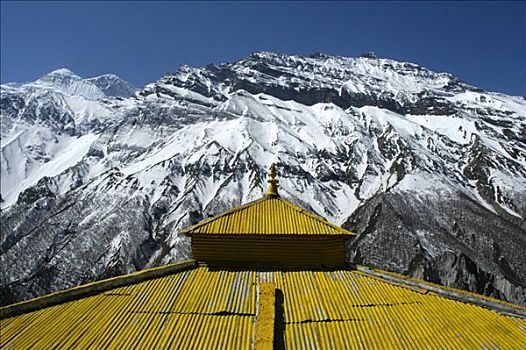 黄色,屋顶,寺院,喇嘛寺,积雪,斜坡,背景,靠近,安娜普纳地区,尼泊尔
