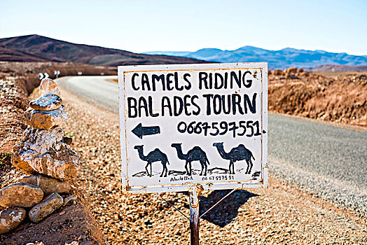 手绘,标识,广告,骆驼,骑,阿特拉斯山脉,摩洛哥,非洲