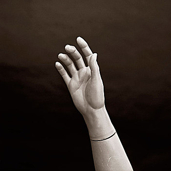 手,人体模型