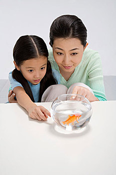 母女在看鱼缸里的鱼