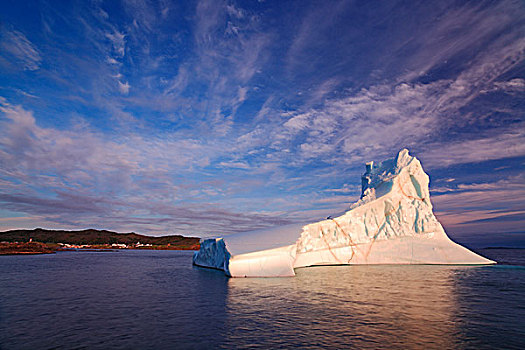 冰山,鹅,小湾,纽芬兰,加拿大