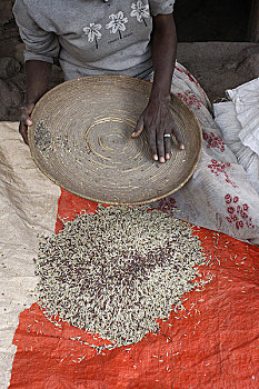 埃塞俄比亚,拉里贝拉,女人,分类,稻米