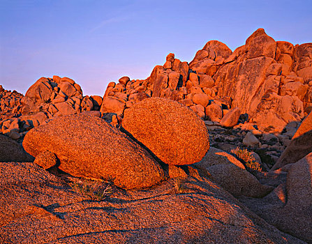 美国,加利福尼亚,约书亚树国家公园,日出,花冈岩,漂石,靠近,石头,大幅,尺寸