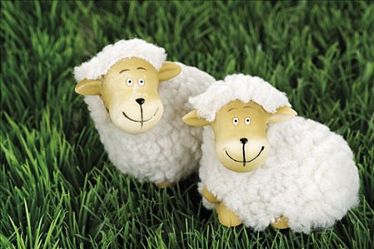 两只,羊,草地