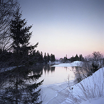 湖,树,黎明,冬天