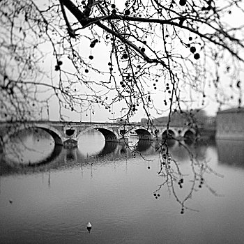 树,桥,跨越,河,背景,加仑河,图卢兹,法国