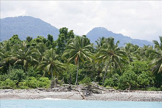 海边风景,巴布亚新几内亚,美拉尼西亚