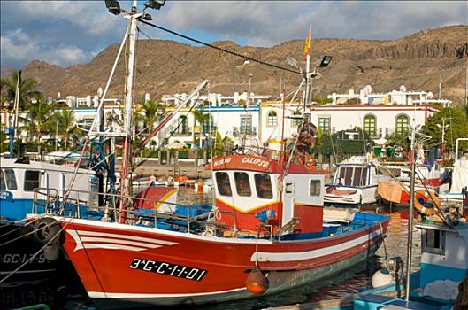 渔船,港口,波多黎各,大卡纳利岛,加纳利群岛,西班牙