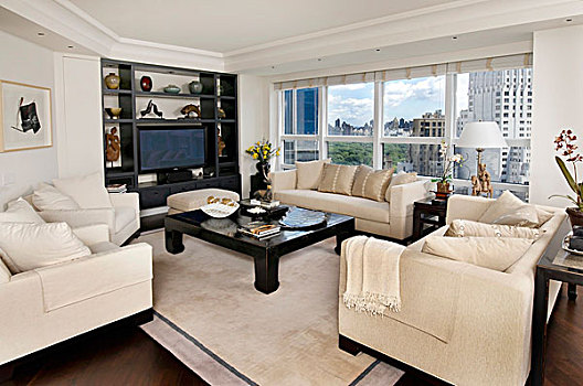 沙发,苍白,家居装潢,茶几,正面,合适,架子,全景,窗户