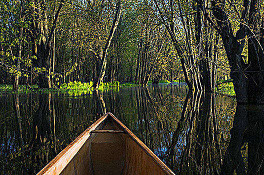 春天,早晨,划船,河,安大略省,加拿大