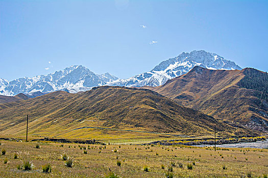 祁连山山麓亚洲最大的半野生鹿基地
