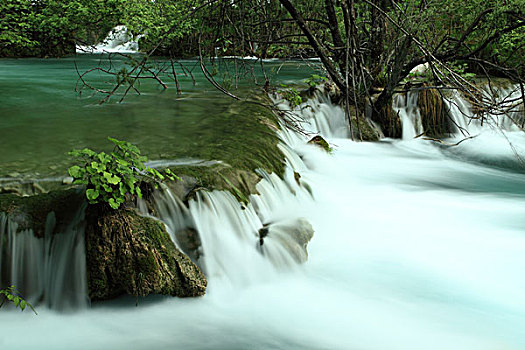 风景