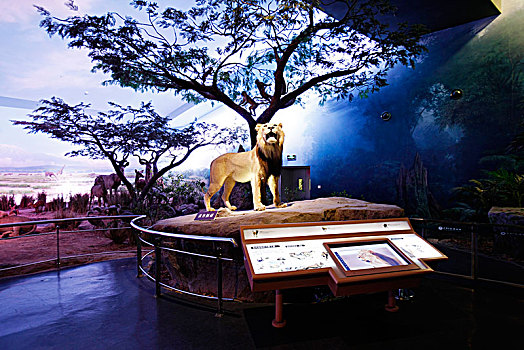 天津文化中心,天津自然博物馆