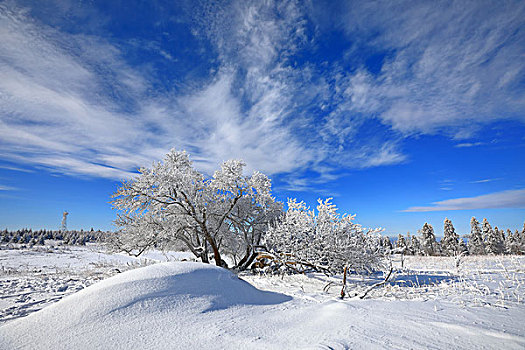 长白林海中的雪景