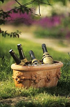 香槟酒瓶,赤陶,花园