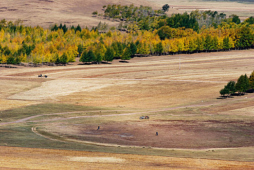 秋收后的内蒙古田野,广阔,斑斓,牛羊成群