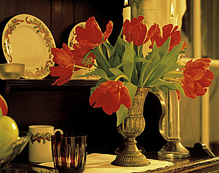 红色,郁金香,花瓶